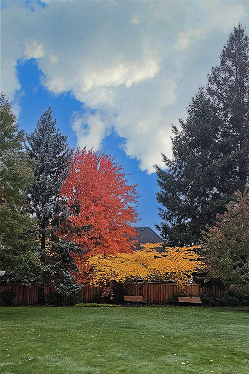 The Greens at Parc Bethany