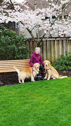 Children walking a dog on the greenbelt